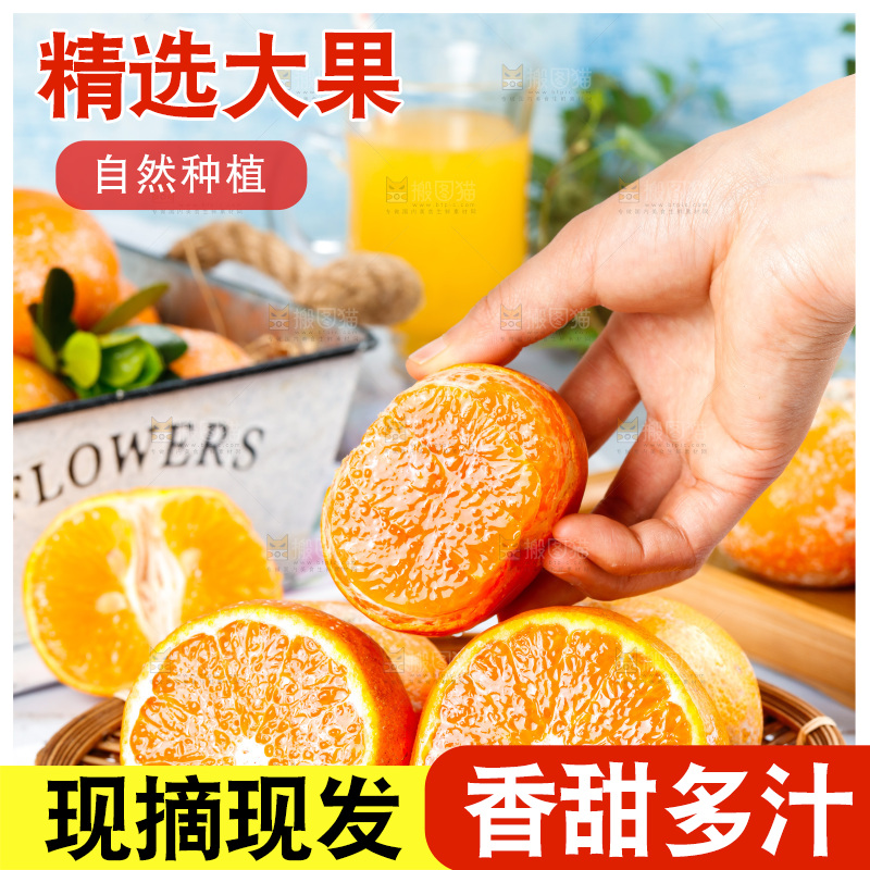 浅底上的茂谷柑