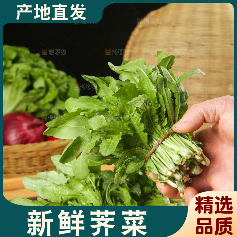 木底上的地菜