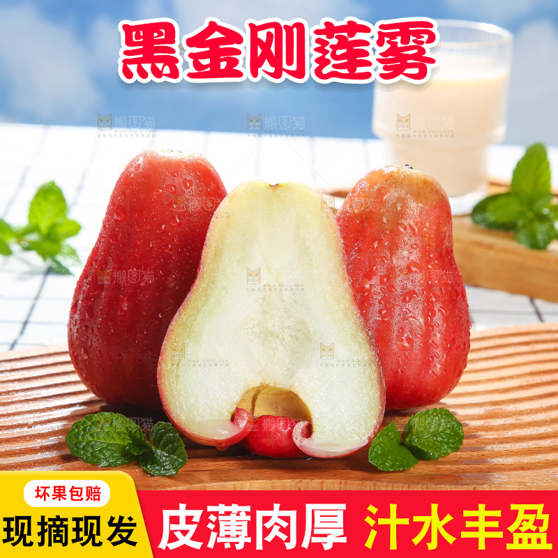 浅底上的莲雾