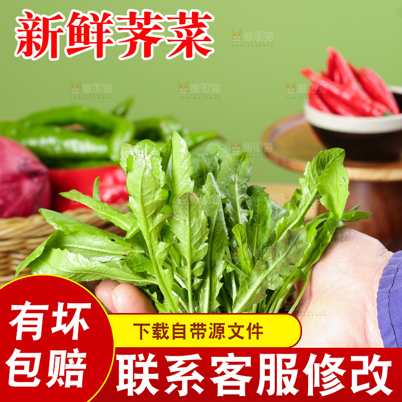 木底上的地菜