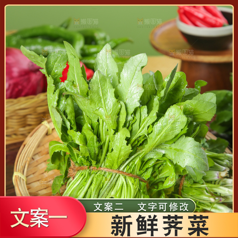 木底上的地菜