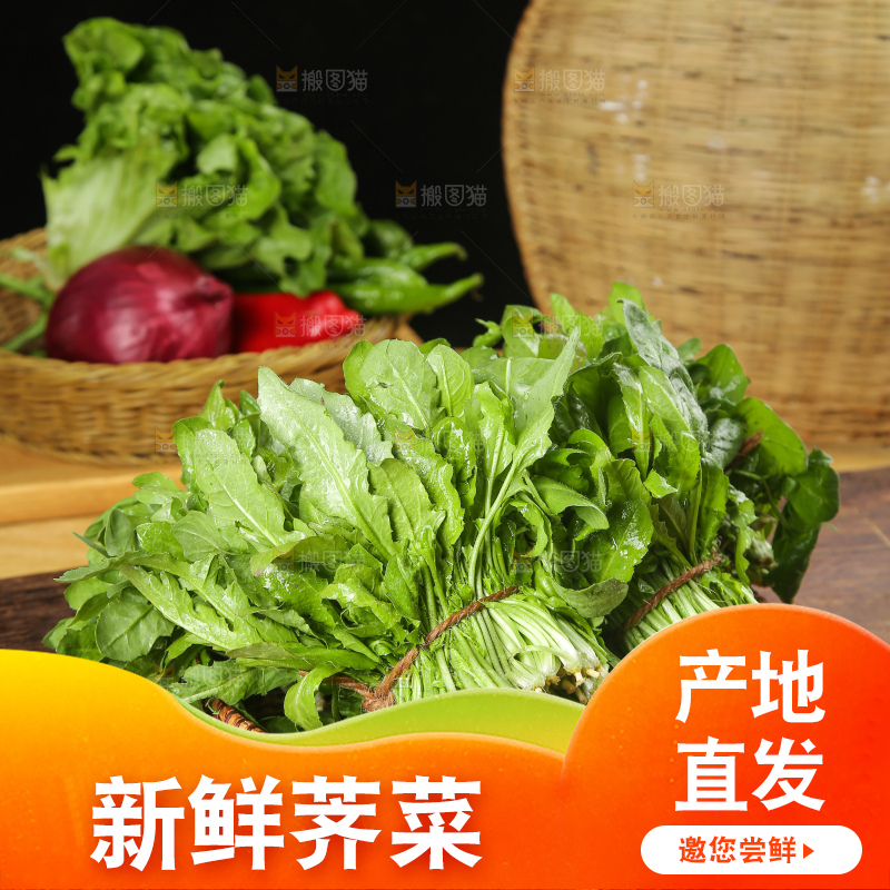 木底上的荠菜