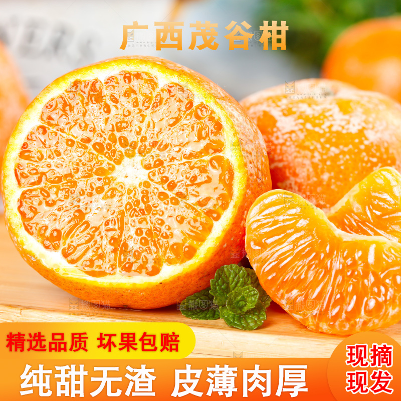 浅底上的茂谷柑