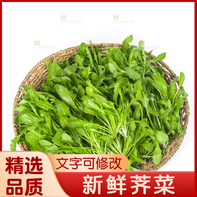白底上的荠菜