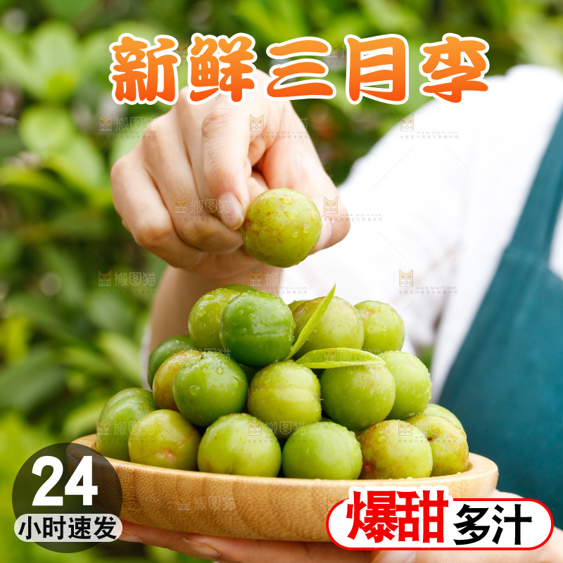 手里拿着三月李