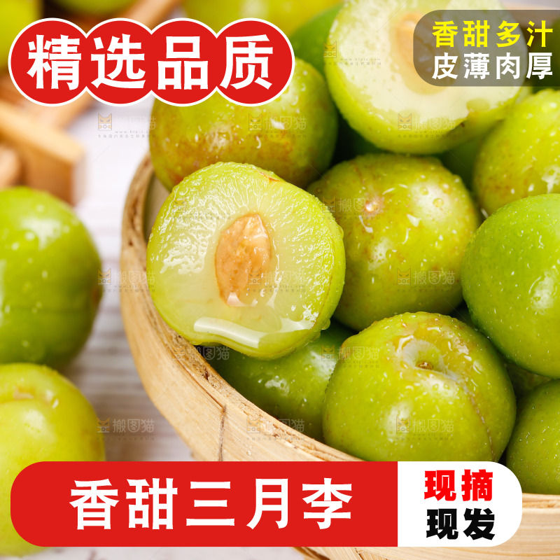浅底上的三月李