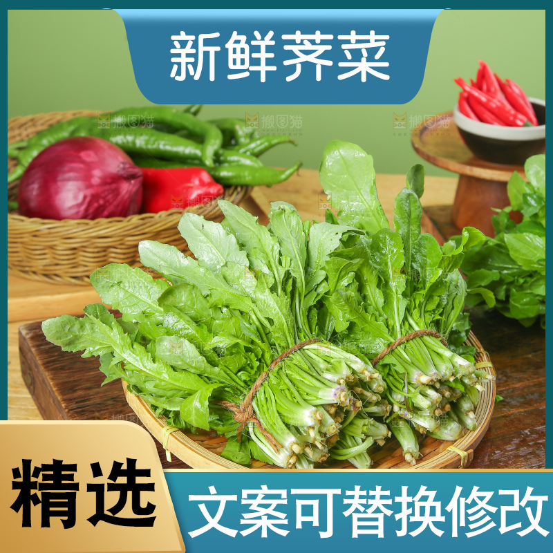 木底上的地菜