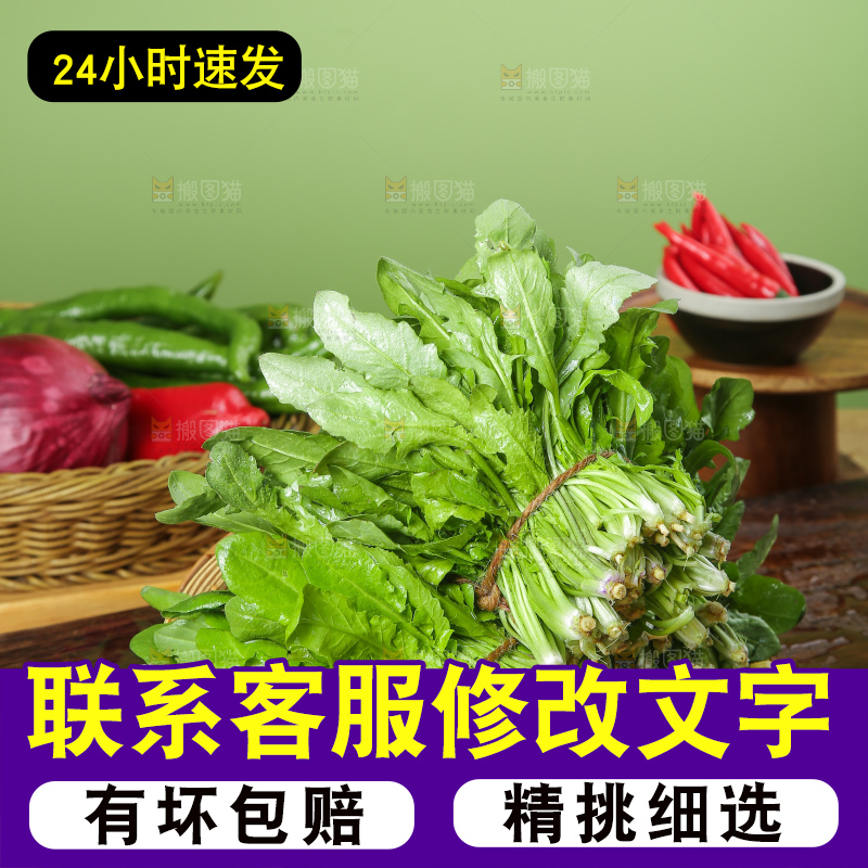 木底上的地菜