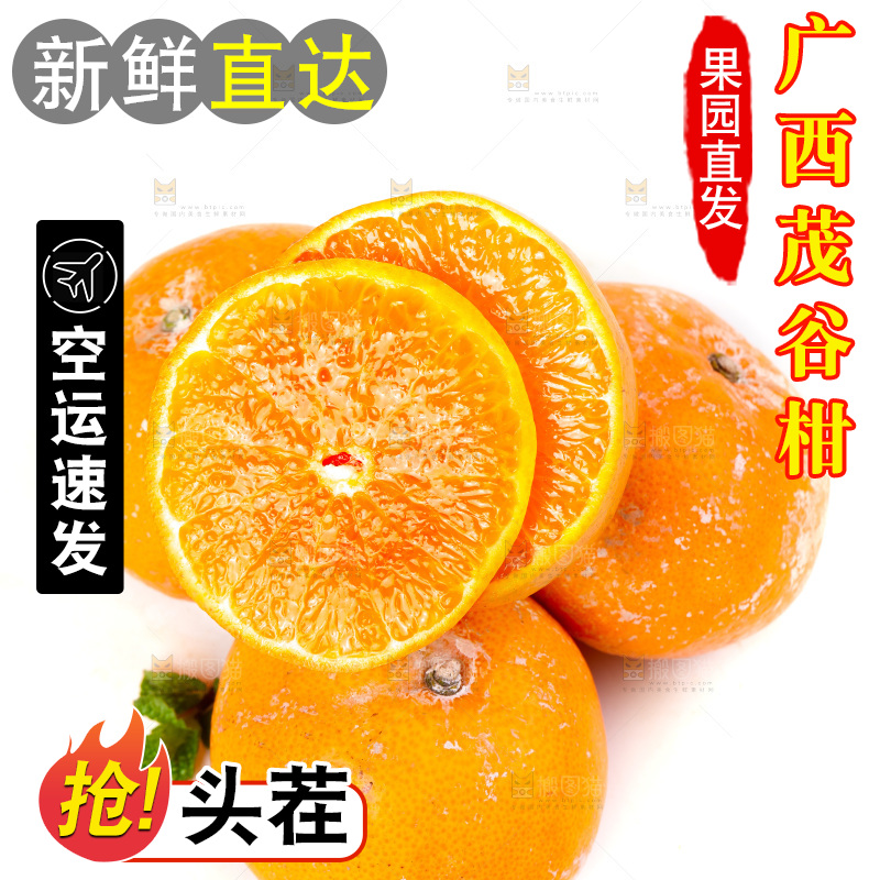 白底上的茂谷柑