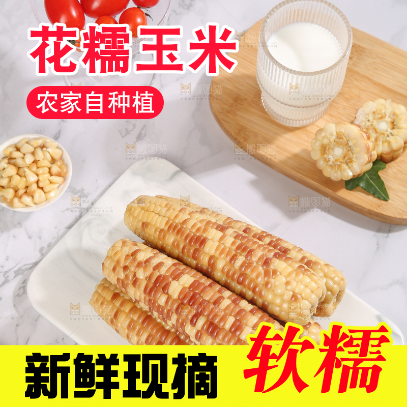 浅底上的花糯小玉米