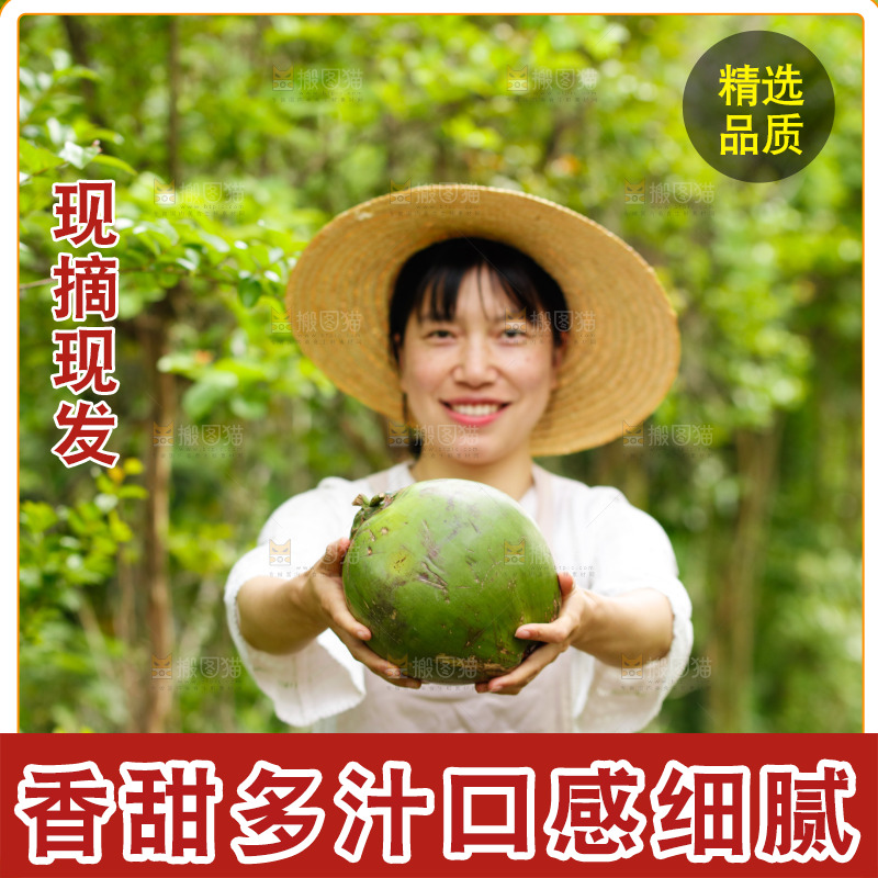手里拿着椰青