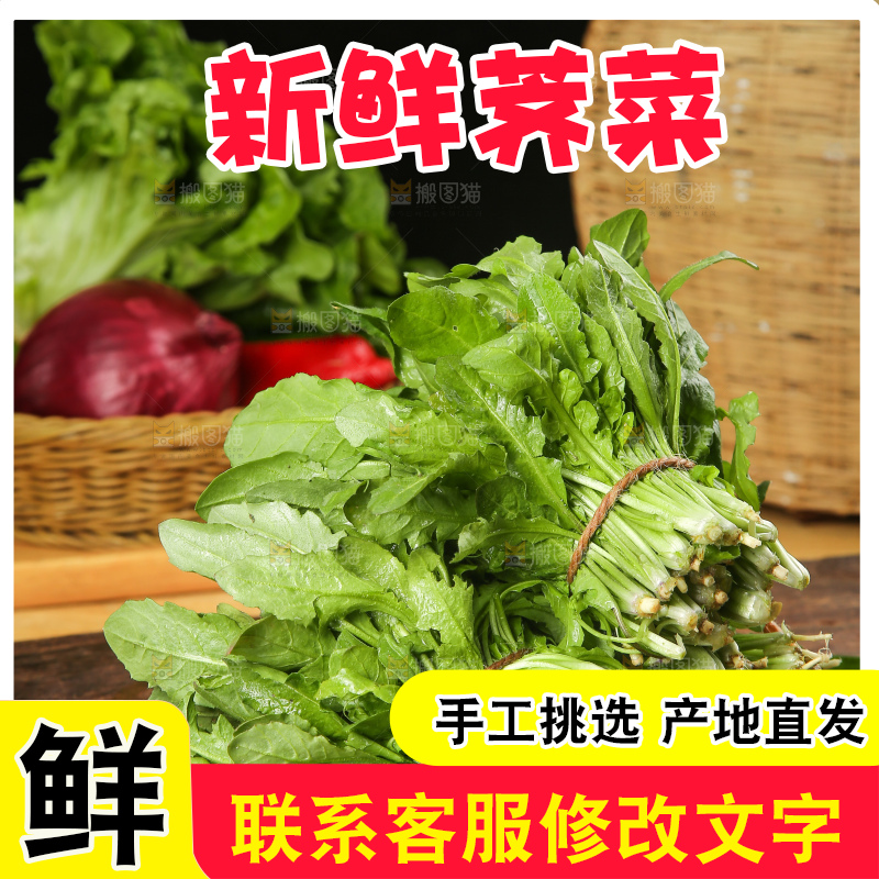 木底上的地菜