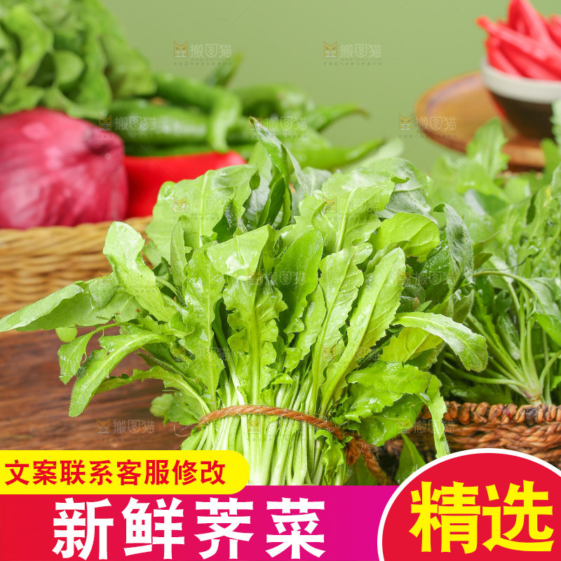 木底上的地菜