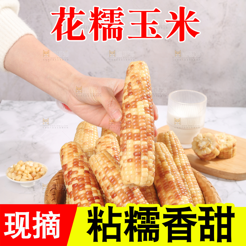 浅底上的花糯小玉米