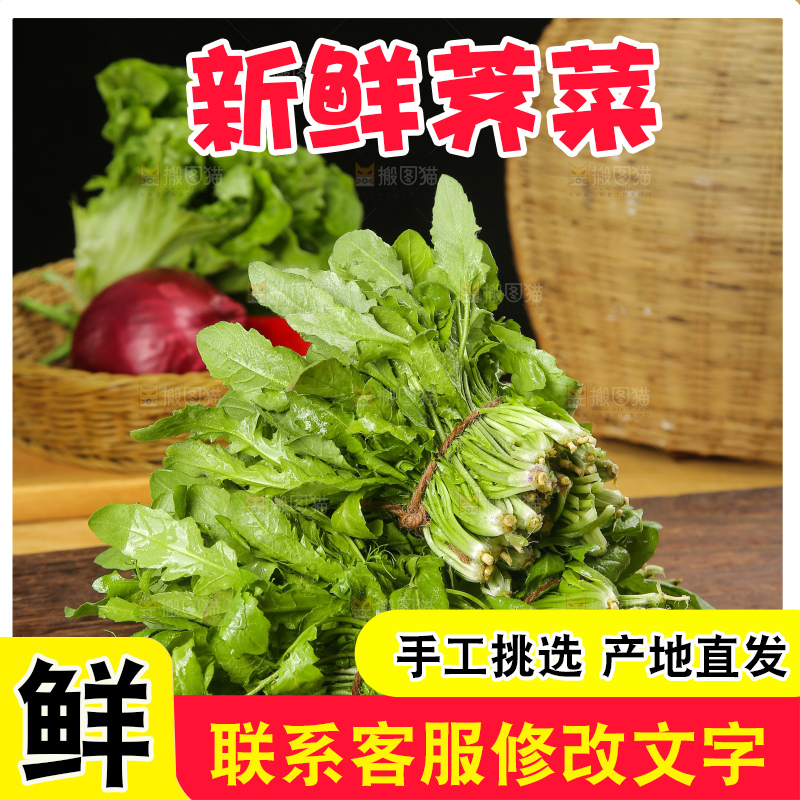 木底上的荠菜