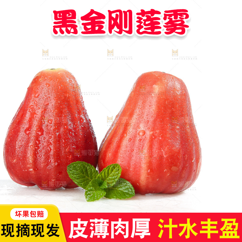 白底上的新鲜莲雾