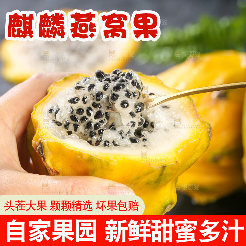深底上的燕窝果