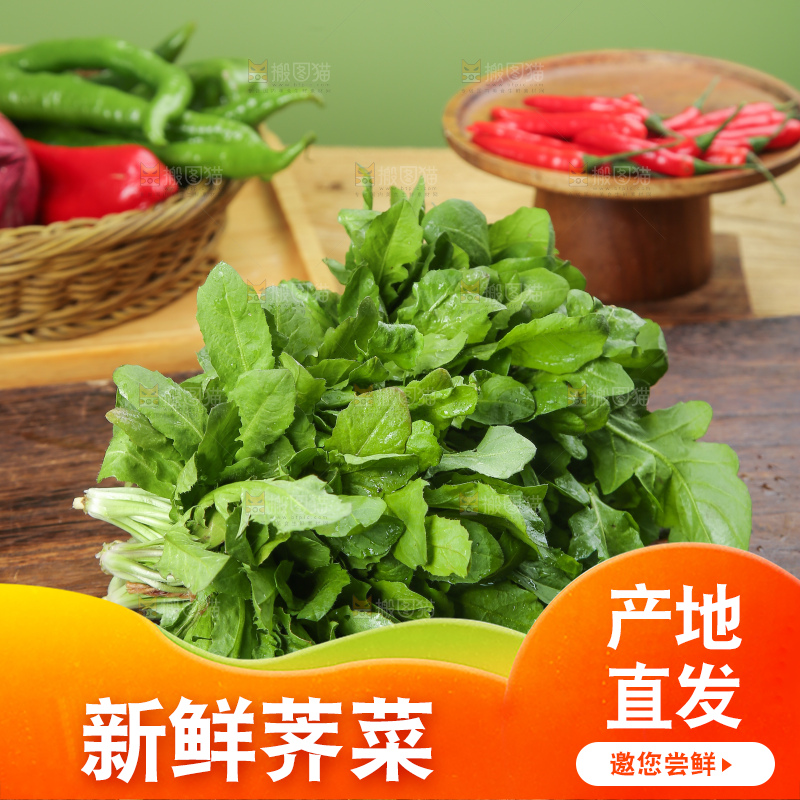 木底上的地菜
