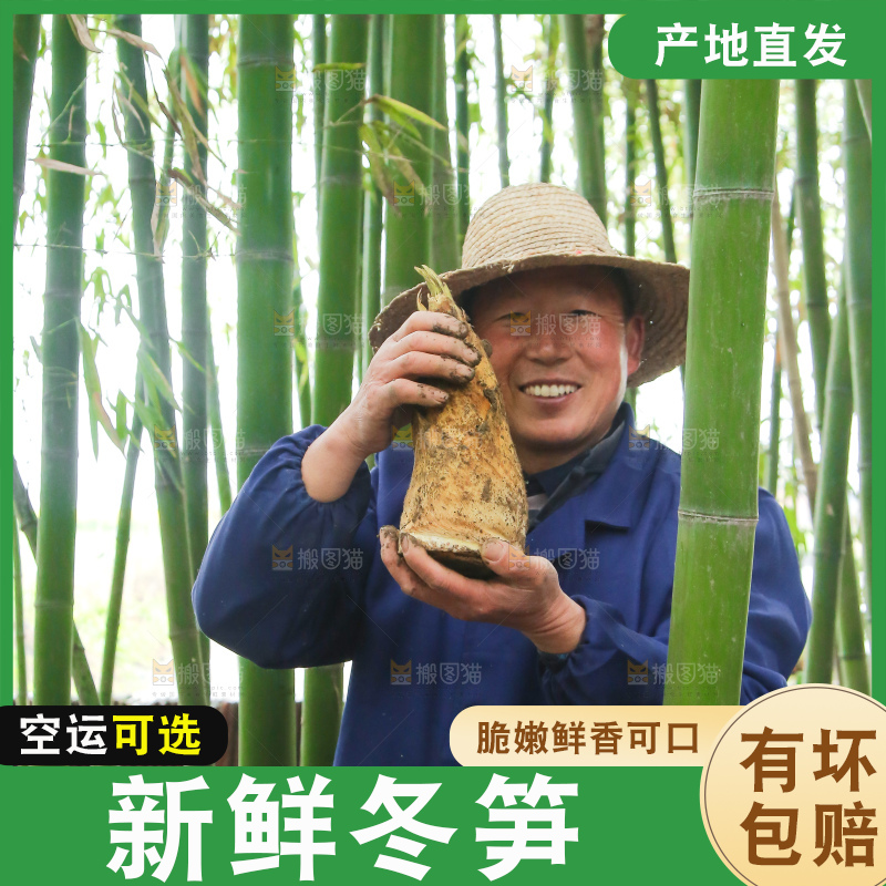 手里拿着冬笋