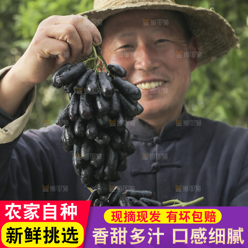 手里拿着蓝宝石葡萄