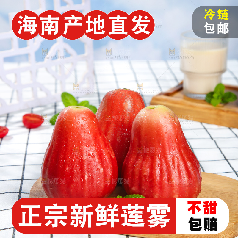 浅底上的莲雾