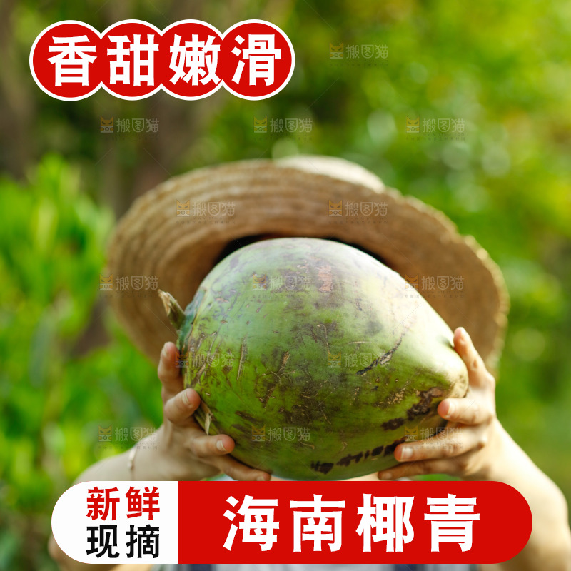 手里拿着椰青