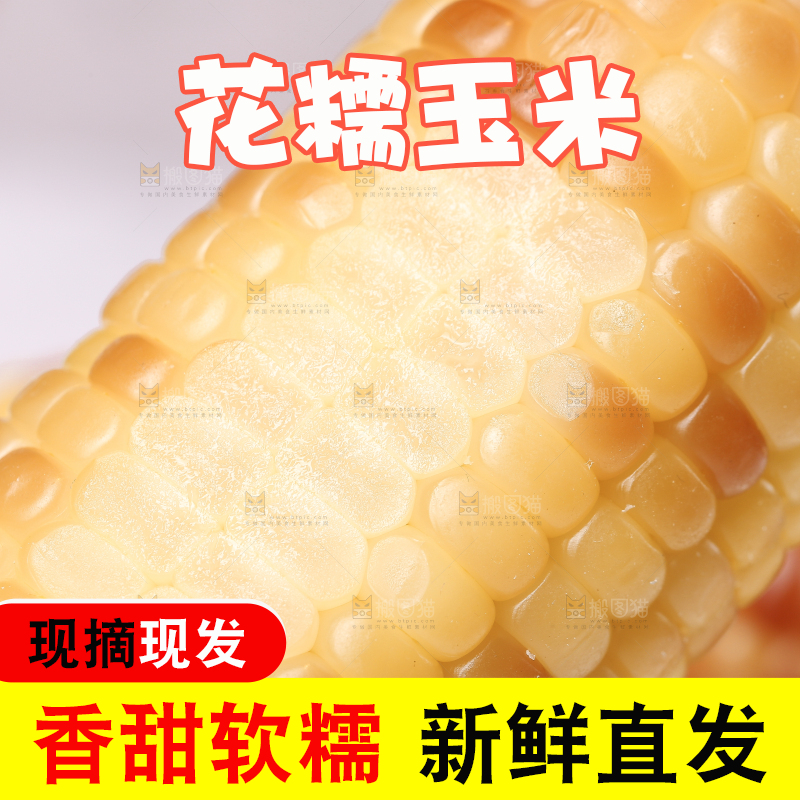 浅底上的花糯小玉米