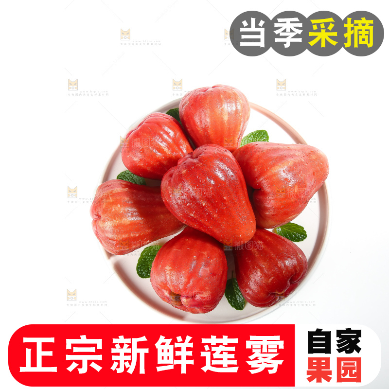 白底上的新鲜莲雾