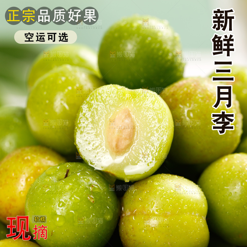 浅底上的三月李