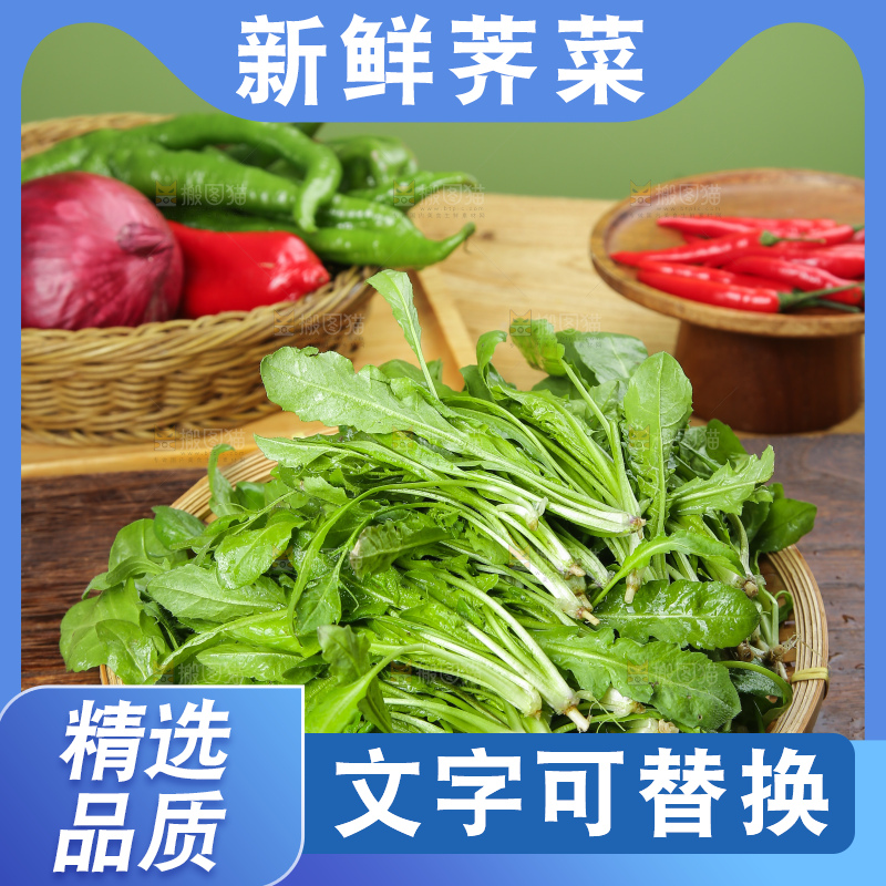 木底上的地菜