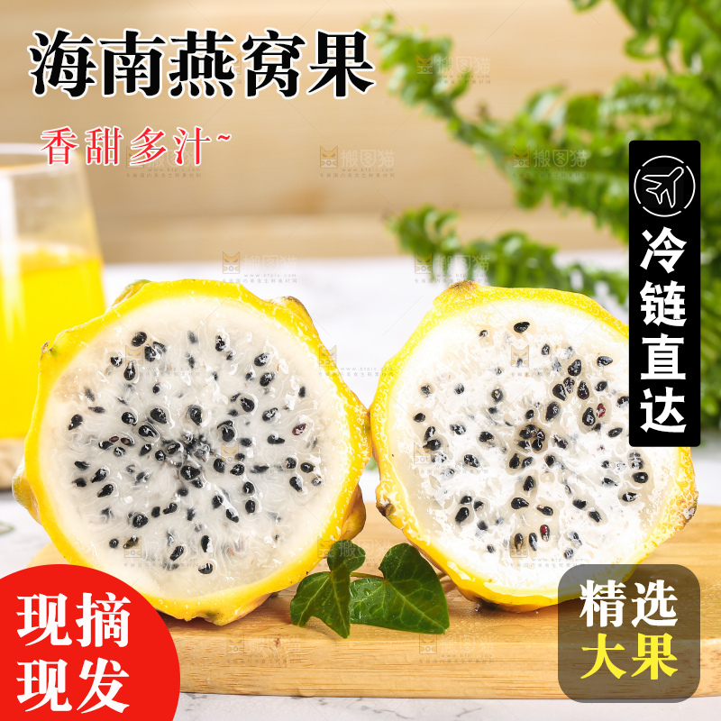 浅底上的燕窝果