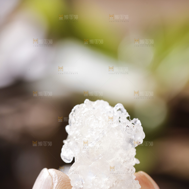 深底上的云南拉丝雪燕