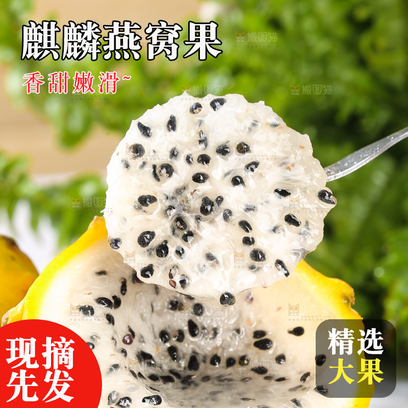 浅底上的燕窝果