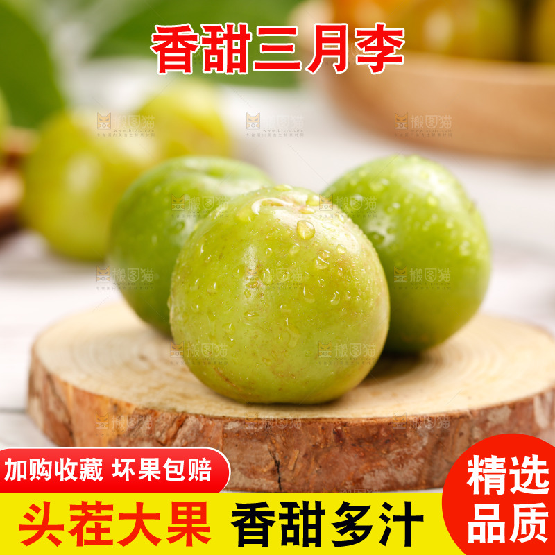 浅底上的三月李