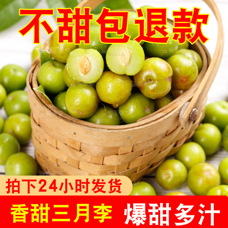 浅底上的三月李