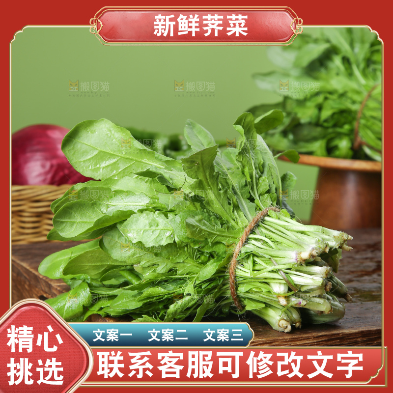 木底上的地菜