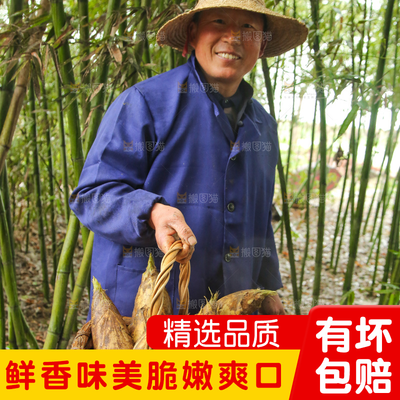 手里拿着冬笋