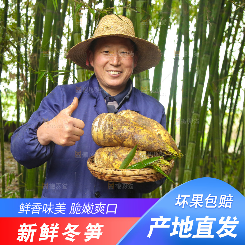 手里拿着冬笋