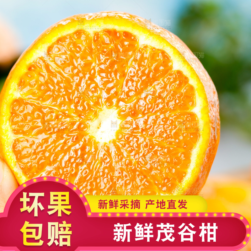 浅底上的茂谷柑