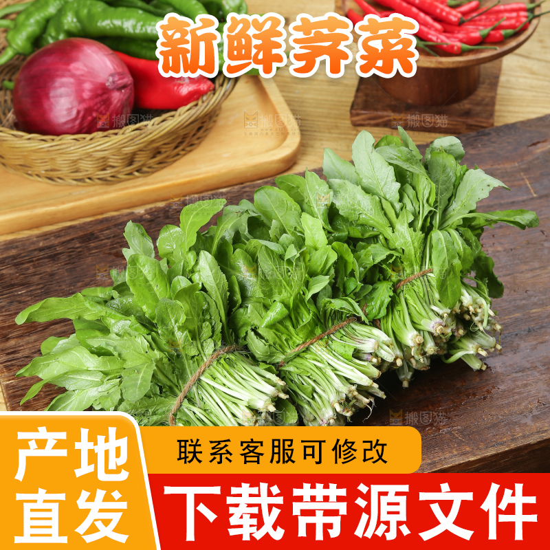 木底上的地菜