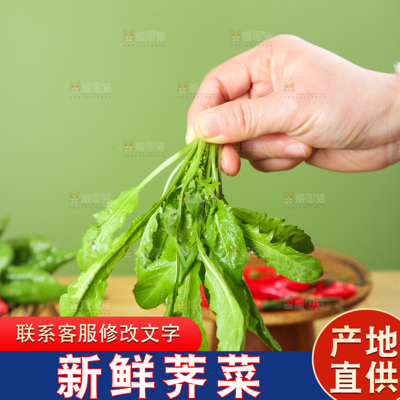 木底上的地菜