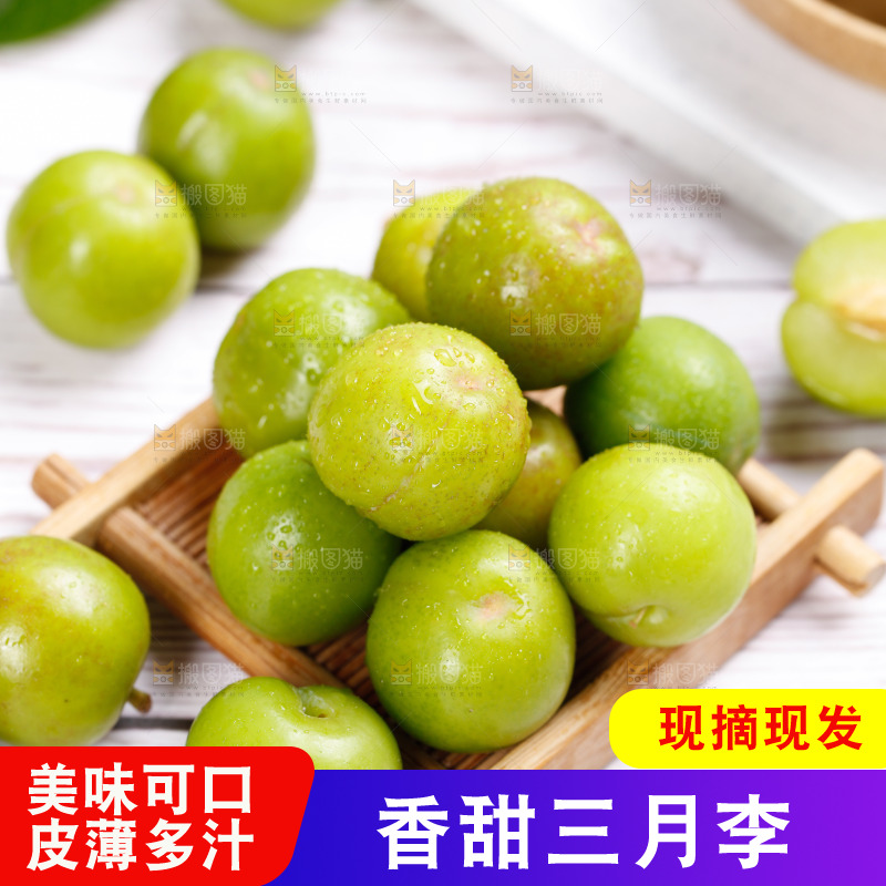 浅底上的三月李