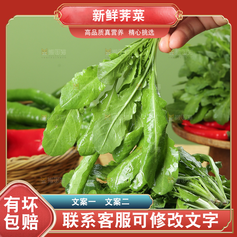 木底上的地菜