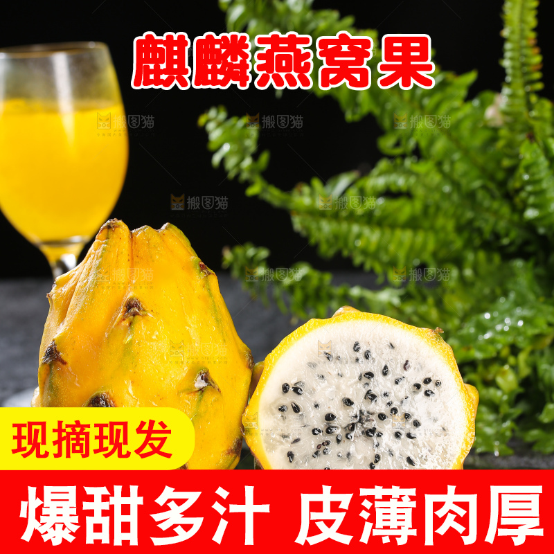 深底上的燕窝果