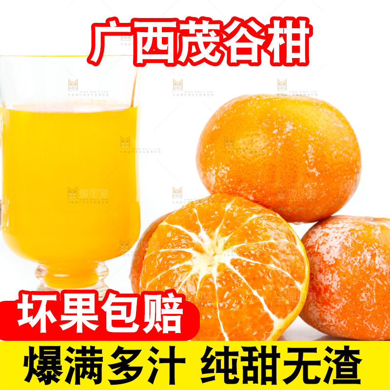 白底上的茂谷柑