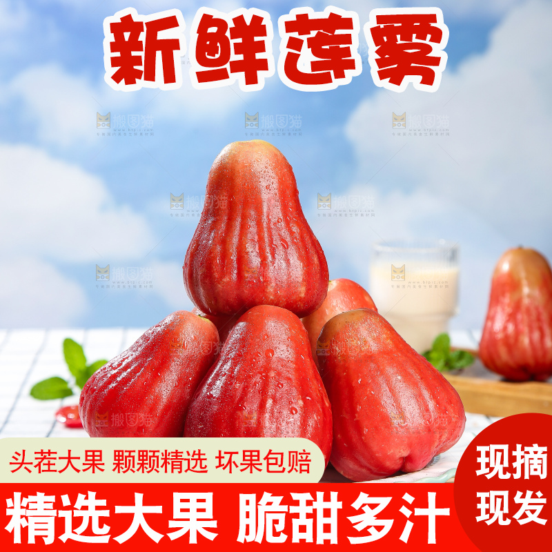 浅底上的莲雾