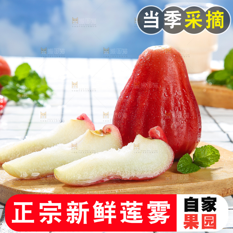 浅底上的莲雾