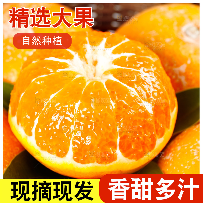 浅底上的茂谷柑