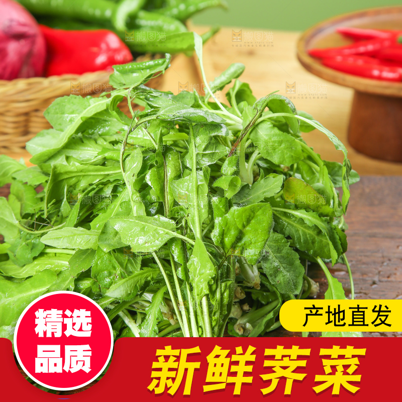 木底上的荠菜