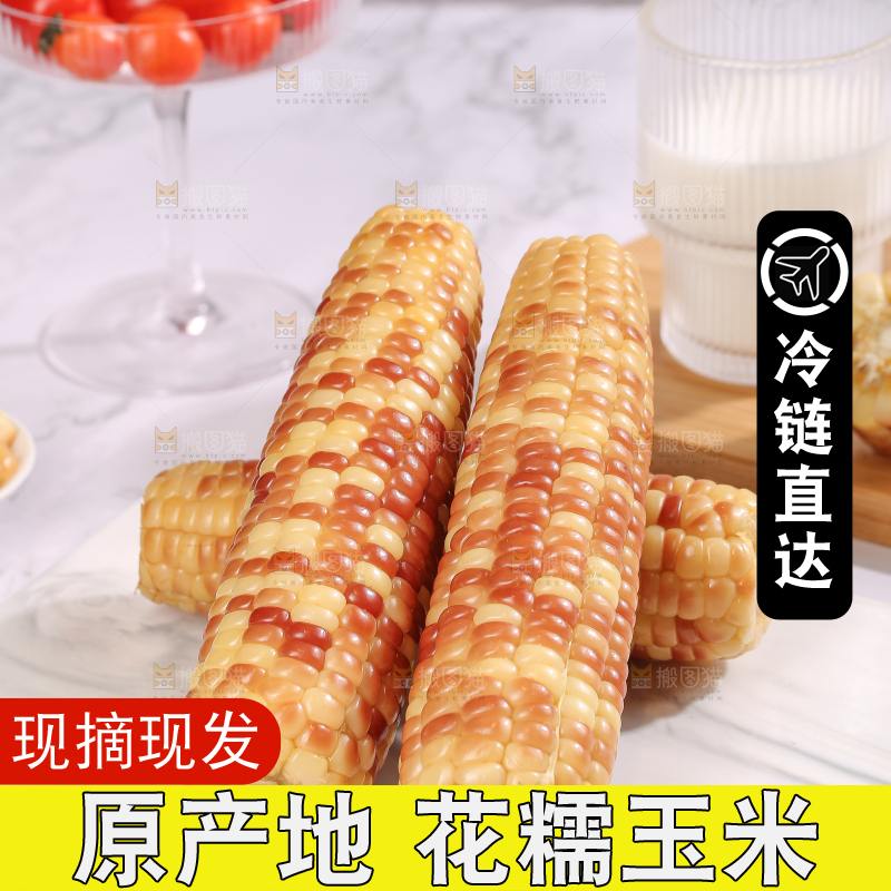 浅底上的花糯小玉米